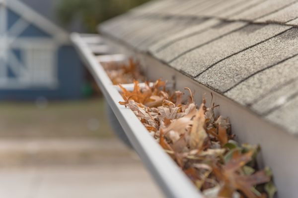 Leaf Barrier Installation in North Port