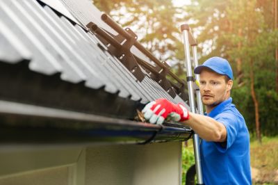 Gutter Protection Specialists