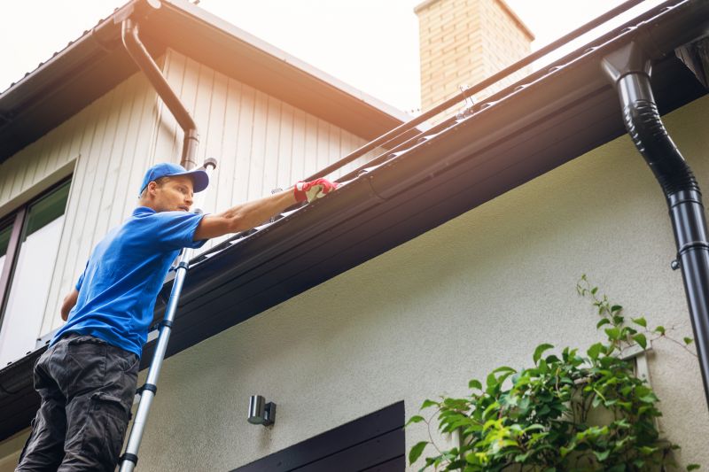 Gutter Cleaning Services